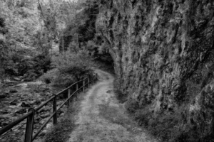 Peaceful walk along a winding mountain trail